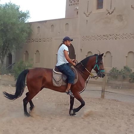 Kasbah Dar Dmana Hotel Skoura Buitenkant foto