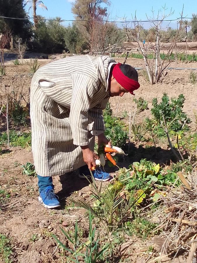 Kasbah Dar Dmana Hotel Skoura Buitenkant foto