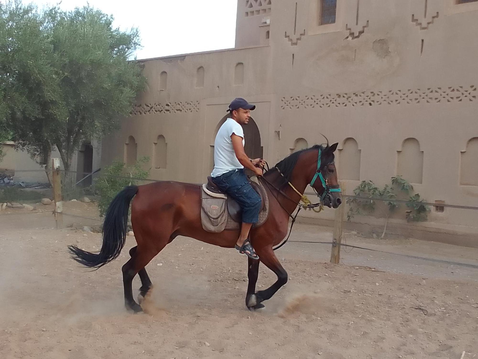Kasbah Dar Dmana Hotel Skoura Buitenkant foto